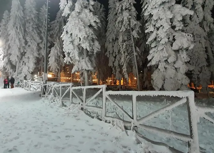 Fox Boutique Gardens Borovets